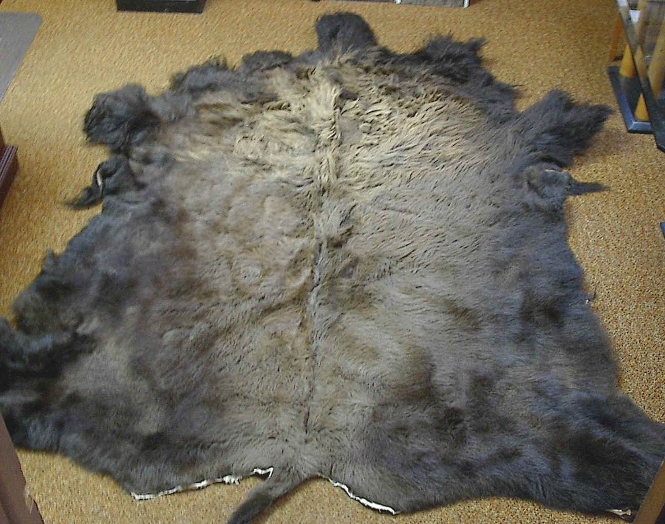 Buffalo hair-on for sale